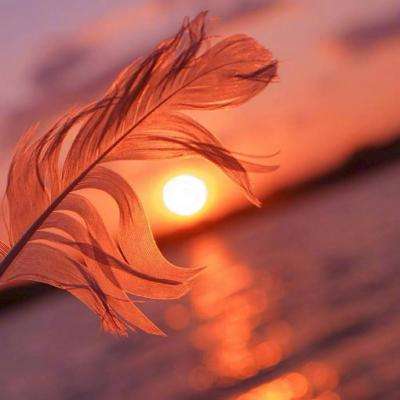 爱体育官方手机app下载